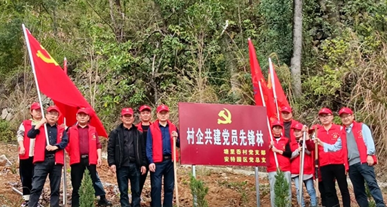 村企共建，共植前锋林